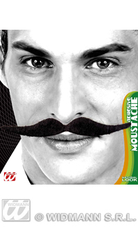 MOUSTACHE NOIRE DALI  - Barbes et moustaches - Perruques et postiches - Déguisements et accessoires - Fête en Fête - Déguisements, mariages, baptêmes, articles de fête, halloween 