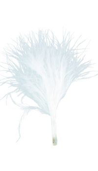 PLUME DUVETEUSE ROSE - Fleurs, papillons, plumes et sujets - Accessoires contenants - Mariages, baptêmes, communions - Fête en Fête - Déguisements, mariages, baptêmes, articles de fête, halloween 
