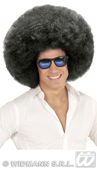 PERRUQUE AFRO - Perruques - Perruques et postiches - Déguisements et accessoires - Fête en Fête - Déguisements, mariages, baptêmes, articles de fête, halloween 